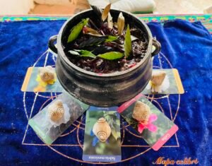 481985949 647577257820870 7565700263388963862 n