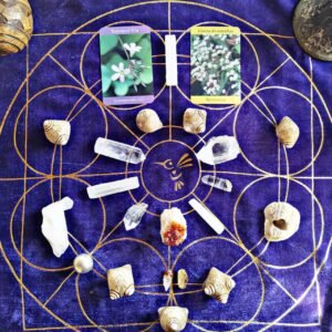 481990913 651455960766333 4448650263857954917 n